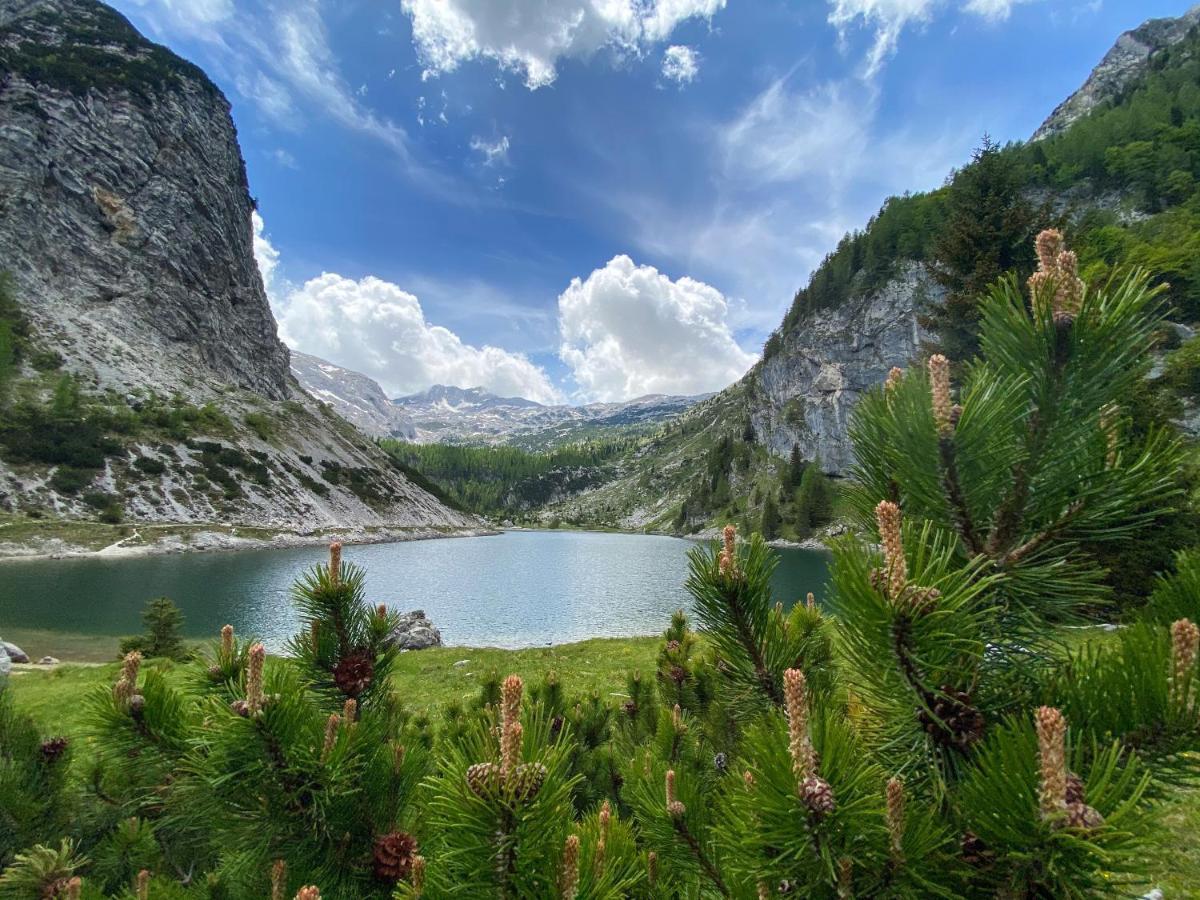 Isonzo Apartment Бовец Екстер'єр фото